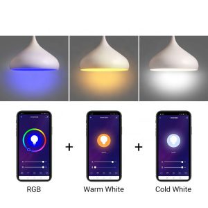 Kamzai Smart RGB LED Light Bulb Color Temperature